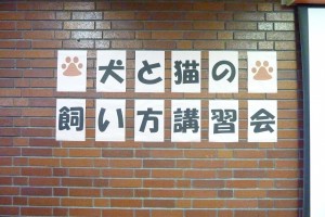 日野市犬と猫の飼い方講習会