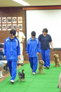 日野市犬と猫の飼い方講習会3