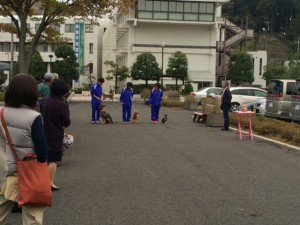 多摩市犬の飼い方講習会2014-3