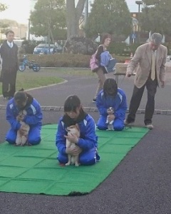 藤井先生による犬のしつけ教室