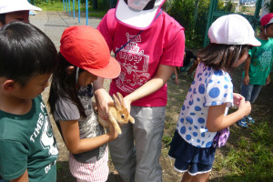 学校飼育動物　ふれあい