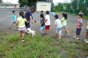 学校飼育動物　ふれあい