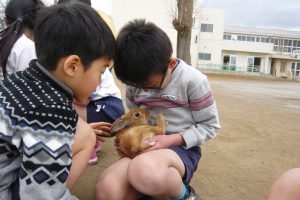 小学校「動物飼育推進校事業」