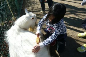 小学校「動物飼育推進校事業」