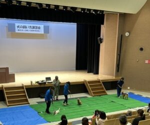 講師の藤井聡先生がデモ犬を使って、歩行やケージトレーニングなど基本的なしつけを説明している様子。